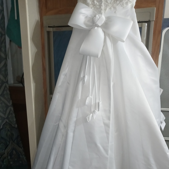 David's Bridal wedding gown with veil - Picture 5 of 11